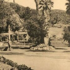 Vintage Postcard - Grounds at Paraiso Hot Springs, California  picture