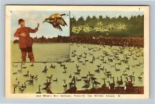 Windsor ON-Ontario Canada, Jack Miner's Bird Sanctuary Vintage Souvenir Postcard picture