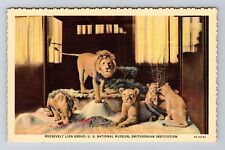 Washington DC-Smithsonian Institution Roosevelt Lion Group Vintage Postcard picture