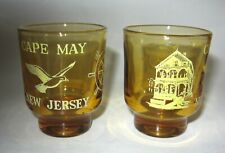 Set of 2 CAPE MAY New Jersey Shot Glasses Amber Color Sea Gull Painted Lady  picture