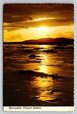 Spectacular Oregon Sunrise Vintage Unposted Postcard picture