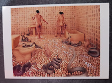 2004 postcard Walking on Eggshells Sandy Skoglund installation  photography art picture