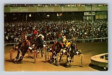 Westbury NY-New York, Roosevelt Raceway, Antique, Vintage c1981 Postcard picture