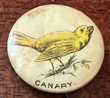 ATQ 1890s CANARY Whitehead & Hoag Pepsin Gum Bird Pinback Button Newark NJ picture