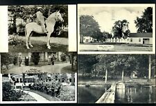 M99 Mich. 5pcs  House of David on Horse, Wedge Motor Ct. Tices Landing, Cottages picture