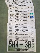 Authentic Tennessee License Plate Volunteer State for 50 State Collection Rustic picture