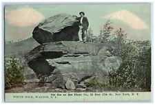1913 White Rock Man Standing Scene Walton New York NY Posted Vintage Postcard picture