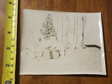 OLD VINTAGE PHOTO CHRISTMAS TREE PRESENTS EXCITED BABY picture