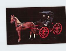 Postcard Hand Carved Horse & Buggy Game Lodge Doll House Custer South Dakota picture