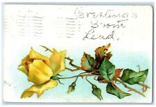 1907 Greetings From Flower Glitter Embossed Lead South Dakota Vintage Postcard picture