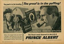 1967 Print Ad of Prince Albert Pipe Tobacco w Old Ben largest bull ever bred picture