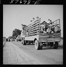 Seabrook Farms,Bridgeton,New Jersey,NJ,Cumberland County,July 1941,FSA,21 picture