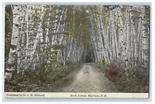 c1910's Birch Avenue Tree Lined Dirt Road Marlboro New Hampshire NH Postcard picture