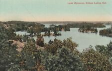 Vintage Postcard Lake Opinacon Rideau Lakes Ontario Canada Aerial Photo Unposted picture