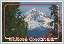 State View~Mt Hood Oregon~First Snow View~Continental Postcard picture