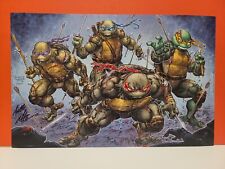 Signed TMNT 11”X17” Art Print Freddie Williams II Ninja Turtles IDW Poster picture
