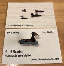 Surf Scoter - Pin Design 5 - UK Birding - Enamel Pin Badge picture