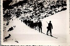 c1939 WWII GERMAN SOLDIERS SKIS IN SNOW TROOPS AUTHENTIC VINTAGE PHOTO 29-149 picture