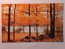 Beautiful Autumn Orange Leaves By The Lake Postcard picture
