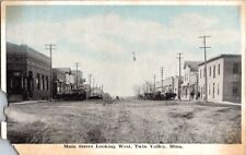 Vintage Postcard Main Street facing West Twin Valley MN Minnesota          E-737 picture