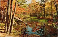 Greetings From Creston Iowa IA Fall Autumn Foliage Scene Creek Postcard VTG UNP picture