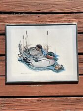 Signed Print 1986 WING TEALS II By Richard A.  Montanbault MALLARD DUCK Family picture