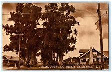 1913 Lomita Avenue Tall Trees Glendale California CA Unposted Residence Postcard picture
