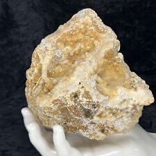 5” GEODE Golden Healer Iron Oxide Citrine Quartz Crystal Cluster Kentucky 2.9Lb picture
