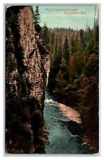 First Capilano Canyon Vancouver BC Canada UNP DB Postcard Z3 picture