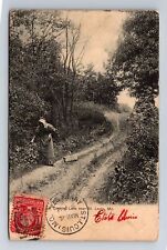 St Louis MO-Missouri, Country Lane, Vintage c1908 Postcard picture