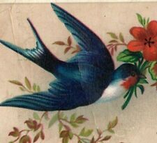 1880s Victorian Reward Of Merit Cards Birds Pansies Swan Ship Lot Of 10 7D picture