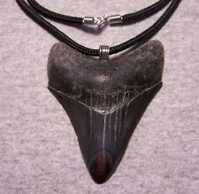 MEGALODON shark tooth necklace 2 7/8