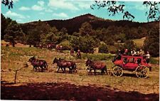 Vintage Postcard- THE BUD BROWNS', FRIENDLY PINES CAMP, PRESCOTT, AZ. 1960s picture