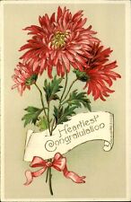 Heartiest Congratulations~red chrysanthemums~gel coated~c1910 postcard picture