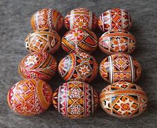 12 Real Ukrainian handmade Pysanky Easter Eggs Ukraine Pisanki Pysanka egg shell picture