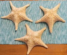 3 Vintage Real Dried Starfish Large 9+