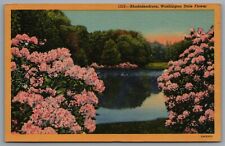 Rhododendrons Washington State Flower c1935 Linen Postcard picture
