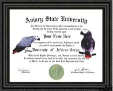 African Grey Lover's Doctorate Diploma / Degree Custom made & Designed for you picture