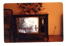 TV Television screen February 14 1981  Vintage color snapshot photo. picture