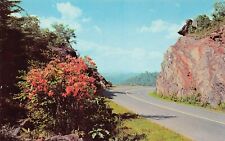 Blowing Rock NC Blue Ridge Smoky Mountains Hwy Shenandoah Park Vtg Postcard W2 picture