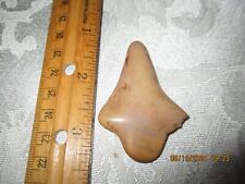 Authentic Mid-Tennessee Indian Arrowhead, Polished picture