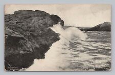 Postcard UDB Bull Dog Rock Gloucester Massachusetts c 1908 Sepia picture