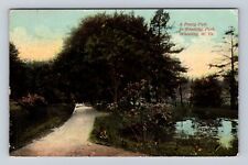 Wheeling WV-West Virginia, Pretty Path In Wheeling Park, Vintage c1911 Postcard picture