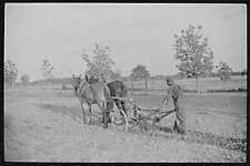 Flint River Farms,Georgia,GA,Farm Security Administration,May 1939,FSA,4 2 picture