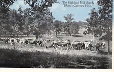 Milwaukee Publ~Highland Milk Supply~Tilden's Guernsey Dairy Cattle Herd c1914  picture
