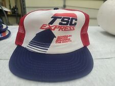 VINTAGE TSC EXPRESS TRUCKING COMPANY MESH SNAPBACK HAT CAP picture