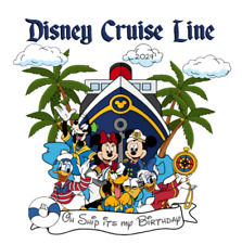 Large Customizable Cruise 6