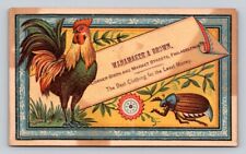 Wanamaker Brown Beetle Insect Chicken Philadelphia  P176 picture