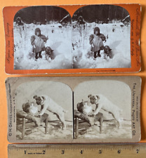 2 Antique 1800's Pug Dog Stereoview Photo Cards; Pug w/ Cat, Child w/Pug No Comp picture