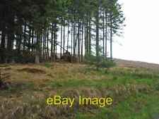 Photo 6x4 Esp Hill, Wark Forest Stonehaugh  c2006 picture